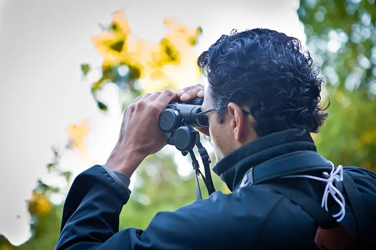 Birding Hike