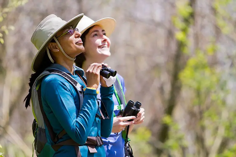 Birding Hikes