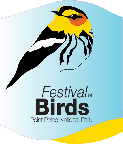 Festival of Birds