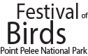 Festival of Birds