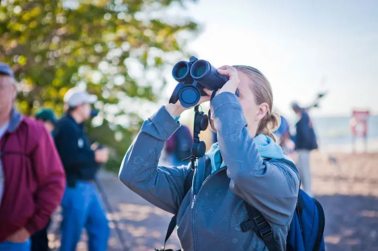 Birding Hikes