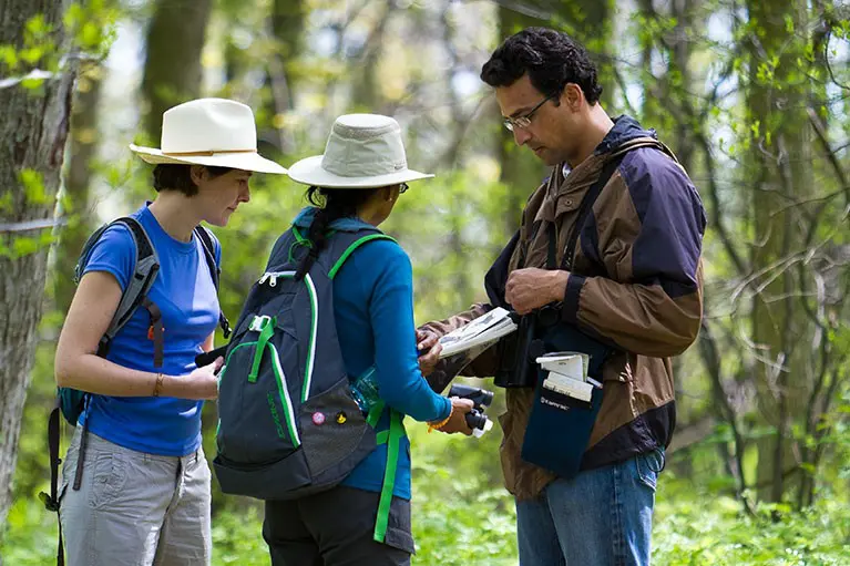 Spotlight on Birding